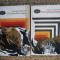 Proza austriaca moderna (2 volume) AUTOGRAF