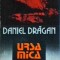 Daniel Dragan - Ursa mica