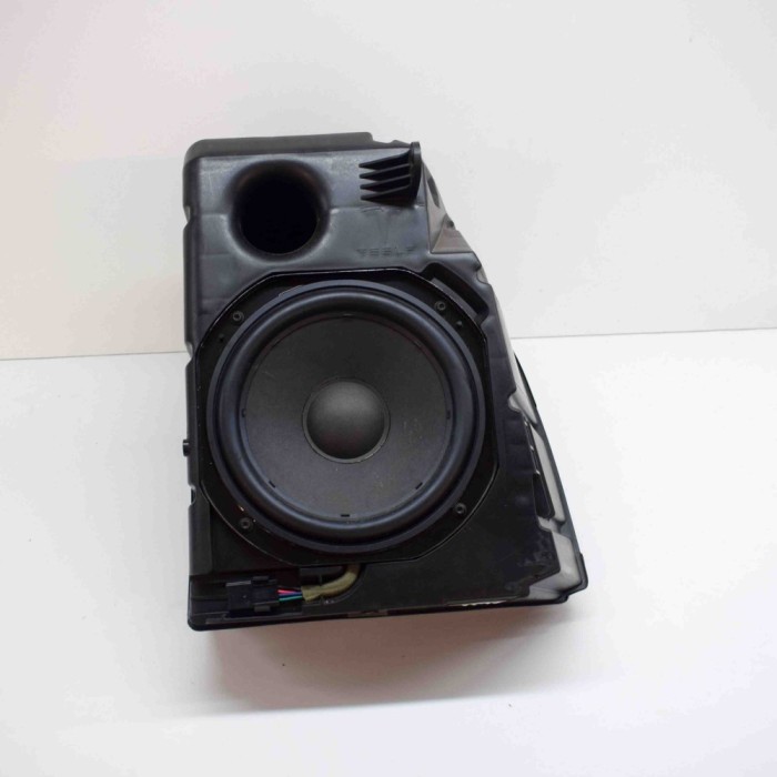 Subwoofer TESLA MODEL 3 2019 OEM: 1079747-00-D