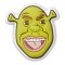 Jibbitz Crocs Shrek 1