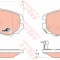 Set placute frana,frana disc HYUNDAI COUPE (GK) (2001 - 2009) TRW GDB3352