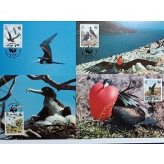 Insulele Ascension 1990 - pasarea fregata, serie CarteMaxima