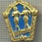 Y 611 INSIGNA -SPORTIVA -ATLETISM -MARS-MARATON- SUEDIA -PENTRU COLECTIONARI