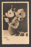 CPIB 20830 FELICITARE - VAZA CU FLORI, 1940, Circulata, Printata