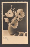 CPIB 20830 FELICITARE - VAZA CU FLORI, 1940