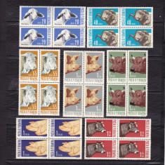 ROMANIA 1962 LP 552 ANIMALE DE RASA BLOCURI DE 4 TIMBRE MNH