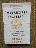 Imblanzirea anxietatii - Judson Brewer