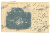 4778 - ANINA, Caras-Severin, Panorama, Litho, Romania - old postcard - used