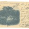 4778 - ANINA, Caras-Severin, Panorama, Litho, Romania - old postcard - used
