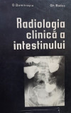 D. Dumitrascu - Radiologia clinica a intestinului (1977)