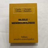 Candin Liteanu - Bazele membranologiei