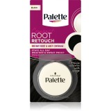 Schwarzkopf Palette Compact Root Retouch corector pentru acoperirea firelor carunte de par cu efect de pulbere culoare Black 3 g