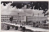bnk cp Iasi - Complexul social-studentesc - uzata