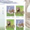 ROMANIA 2021 - EUROPA 2021, SPECII PE CALE DE DISPARITIE, BLOC, MNH - LP 2322