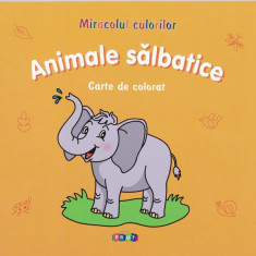 Animale sălbatice. Carte de colorat - Paperback - Victoria Raţă - Prut