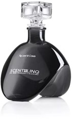 Odorizant camera SCENT LINQ CITRUS TEA &amp;amp; GINGER foto