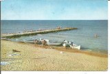 #carte postala(ilustrata)-EFIORIE SUD-Pe plaja