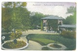 4052 - BUZIAS, Timis, Park, Romania - old postcard - used - 1918