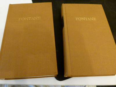Fontane - Briefe 2 vol. foto