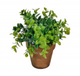 Bonsai decorativ cu frunze late in ghiveci ceramic, Verde, 15 cm