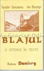 Blajul. O Istorie In Texte - Editie Ingrijita: Teodor Seiceanu, Ion Buzasi foto