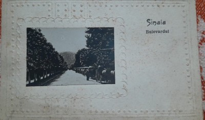 Carte postala, Sinaia, Bulevardul, perioada interbelica foto