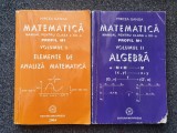 MATEMATICA MANUAL PENTRU CLASA A XII-A M1 - Mircea Ganga (2 volume)