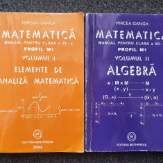 MATEMATICA MANUAL PENTRU CLASA A XII-A M1 - Mircea Ganga (2 volume)