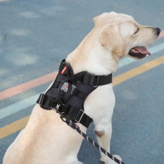 Ham ajustabil cu Led pentru caini si pisici, Marimea L, Culoare Negru