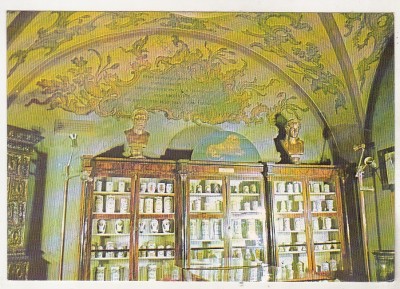 bnk cp Cluj - Muzeul de istorie a Transilvaniei - Vedere -necirculata foto