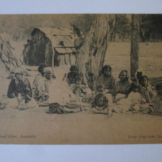 Rara! Carte postala necirculata aborigeni australieni,Kerry-Sydney circa 1900