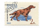 URSS - Caini_de_vanatoare, 1965-1966 - valori obliterate