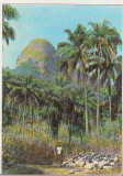 Bnk cp Republica Guineea - Muntele Kakoulima - uzata, Necirculata, Printata