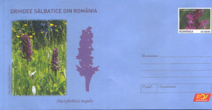 Intreg pos plic nec 2007- Orhidee salbatice - Dactylorhiza majalis