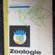 Manual de zoologie, anul II licee real umaniste si de specialitate