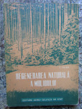 Regenerarea naturala a molidului - I. Vlad
