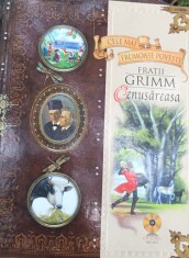 CELE MAI FRUMOASE POVESTI FRATI GRIMM CENUSAREASA