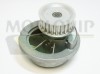 MOTAQUIP VWP828 Pompă de apă, răcire motor