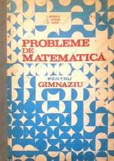 Ion Petrica - Probleme de matematica pentru gimnaziu foto