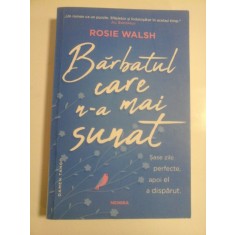 BARBATUL CARE N-A MAI SUNAT (roman) - Rosie WALSH