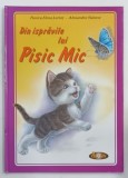 DIN ISPRAVILE LUI PISIC MIC de FLORICA ELENA LORINT , ilustratii de ALEXANDRU STANESE , 2007