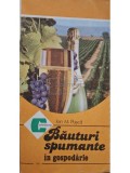 Ion M. Pusca - Bauturi spumante in gospodarie (Editia: 1988)