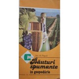 Ion M. Pusca - Bauturi spumante in gospodarie (Editia: 1988)