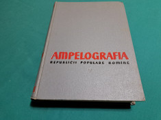 AMPELOGRAFIA REPUBLICII POPULARE ROM&amp;Acirc;NE * VOL. V * 1960 * foto