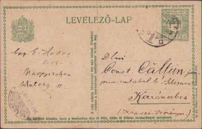 HST CP272 Carte poștală 1917 Enea Hodoș - C-tin Călțun foto