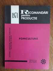 Pomicultura - Recomandari pentru productie / R3P3S foto