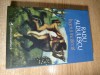 Radu Aldulescu - Ingerul incalecat (Editura Cartea Romaneasca, 2011; editia a II-a, revazuta si adaugita)