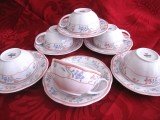 SET PORTELAN MITTERTEICH BAVARIA SET CESTI CAFEA CU FARFURII