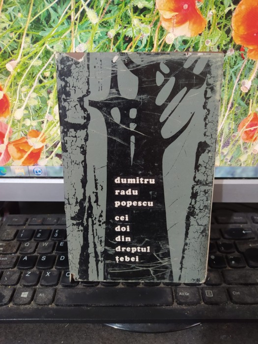 Dumitru Radu Popescu, Cei doi din dreptul Țebei, editura Dacia, Cluj 1973, 191
