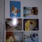 LOT 6 CALENDARE / CALENDAR ADESGO